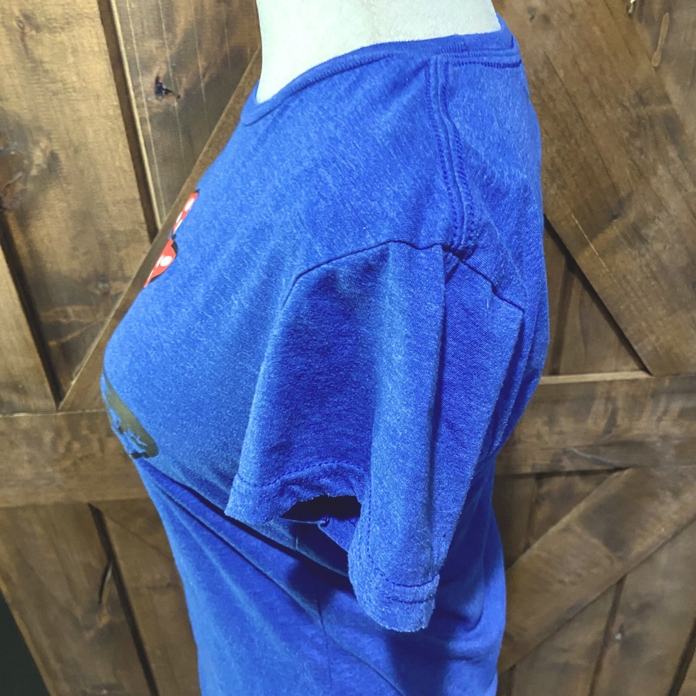 Blue Highland Heifer Short Sleeve Tee Sz M - Picture 4 of 14